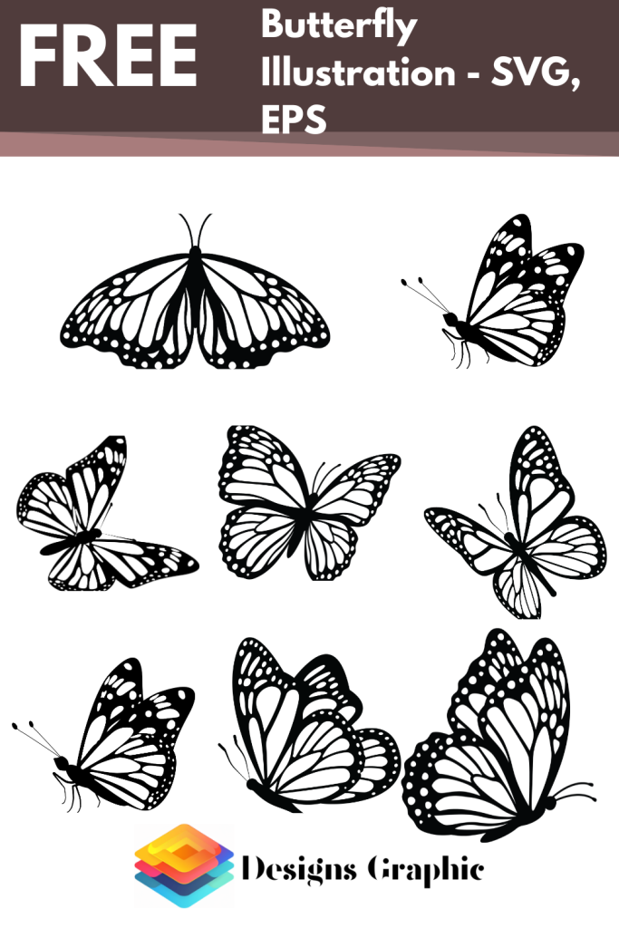 Butterfly Illustration SVG EPS